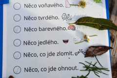 Obrazek-WhatsApp-2025-09-09-v-18.34.14_7679eb4e