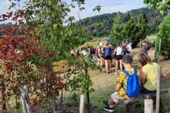 Obrazek-WhatsApp-2025-09-09-v-18.34.15_d81c74e3