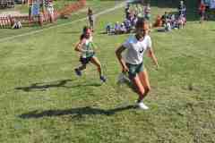 Obrazek-WhatsApp-2025-06-19-v-17.26.13_b0675aff