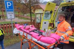 Obrazek-WhatsApp-2025-11-11-v-11.45.54_7b2f70f3