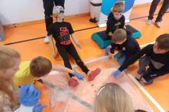 Obrazek-WhatsApp-2025-11-11-v-11.45.56_5aa714f0