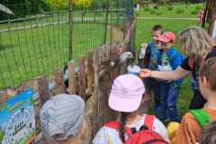 Obrazek-WhatsApp-2025-06-07-v-19.12.53_5640f316