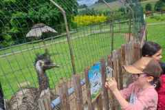 Obrazek-WhatsApp-2025-06-07-v-19.12.53_7656bbdb