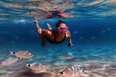 3-Ocean-kolebka-zivota