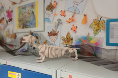 Obrazek-WhatsApp-2025-11-03-v-17.16.39_43627fa6