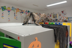 Obrazek-WhatsApp-2025-11-03-v-17.16.39_54780f70