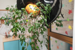 Obrazek-WhatsApp-2025-11-03-v-17.16.40_9b456888