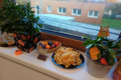 Obrazek-WhatsApp-2025-11-03-v-17.16.41_874d49e5