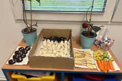 Obrazek-WhatsApp-2025-10-24-v-09.33.47_b5f4a301