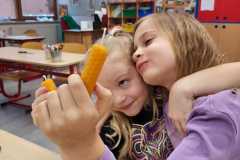 WhatsApp-Image-2026-02-02-at-16.44.48