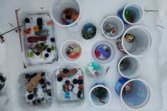 WhatsApp-Image-2026-02-02-at-16.43.58-4