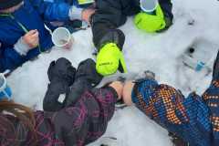 WhatsApp-Image-2026-02-02-at-16.43.58