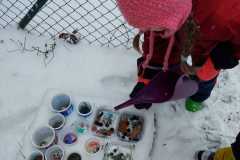 WhatsApp-Image-2026-02-02-at-16.43.59-1