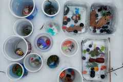 WhatsApp-Image-2026-02-02-at-16.43.59-2