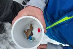 WhatsApp-Image-2026-02-02-at-16.43.59-3