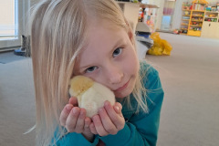 8ac5167f-1e98-46e4-8b44-2cfb688c74f3