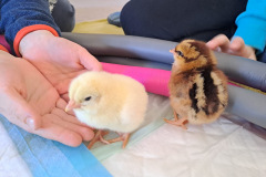 f27a4d51-3716-443d-861b-c8b614a2458e