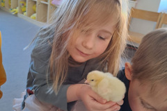 f39ad0a2-1ec6-4a35-997b-b8b51156c4bd