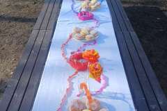 WhatsApp-Image-2026-02-10-at-17.12.38