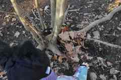 WhatsApp-Image-2026-02-10-at-17.12.41-4