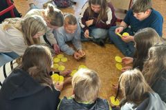 Obrazek-WhatsApp-2025-11-14-v-14.36.13_5f24dfd0