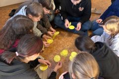 Obrazek-WhatsApp-2025-11-14-v-14.36.14_b54599dd