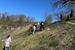 WhatsApp-Image-2026-03-27-at-13.08.18-3