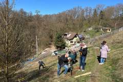 WhatsApp-Image-2026-03-27-at-13.08.18-4