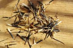 WhatsApp-Image-2026-04-07-at-16.04.30