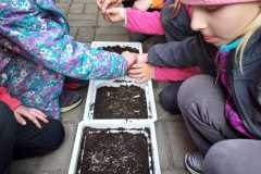 WhatsApp-Image-2026-04-07-at-16.04.31-1