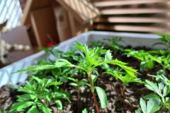 WhatsApp-Image-2026-04-07-at-16.04.31-5