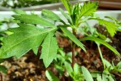 WhatsApp-Image-2026-04-07-at-16.04.31-6