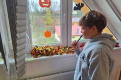 Obrazek-WhatsApp-2025-11-10-v-13.56.28_548e3ca2