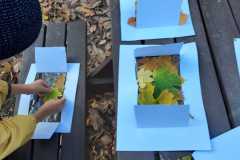 Obrazek-WhatsApp-2025-11-05-v-19.45.53_0b715066