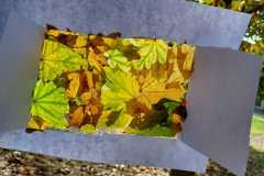 Obrazek-WhatsApp-2025-11-05-v-19.45.53_7c00cce5