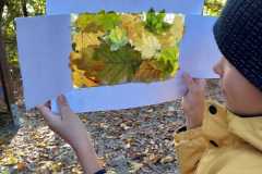 Obrazek-WhatsApp-2025-11-05-v-19.45.53_8147e206