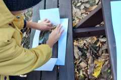 Obrazek-WhatsApp-2025-11-05-v-19.45.53_8a965a66