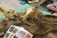 Obrazek-WhatsApp-2025-10-01-v-11.11.50_40b2fdc5