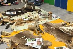 Obrazek-WhatsApp-2025-10-01-v-11.11.50_d874a264