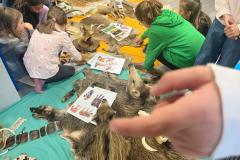 Obrazek-WhatsApp-2025-10-01-v-11.11.51_38e9c4d9