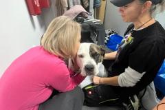 Obrazek-WhatsApp-2025-10-01-v-11.11.52_1e6d3f6f