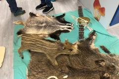 Obrazek-WhatsApp-2025-10-01-v-11.11.53_8b437680