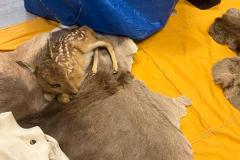 Obrazek-WhatsApp-2025-10-01-v-11.11.53_cec63cdc