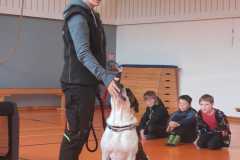 Obrazek-WhatsApp-2025-10-01-v-17.04.35_081f7944