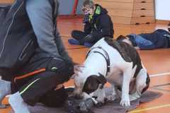 Obrazek-WhatsApp-2025-10-01-v-17.04.35_3e190d86