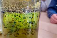 WhatsApp-Image-2026-03-24-at-16.44.28-1