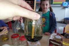 WhatsApp-Image-2026-03-24-at-16.44.28-2