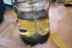 WhatsApp-Image-2026-03-24-at-16.44.28-4