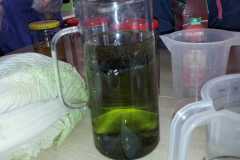 WhatsApp-Image-2026-03-24-at-16.44.28