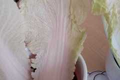 WhatsApp-Image-2026-03-24-at-16.44.29-6